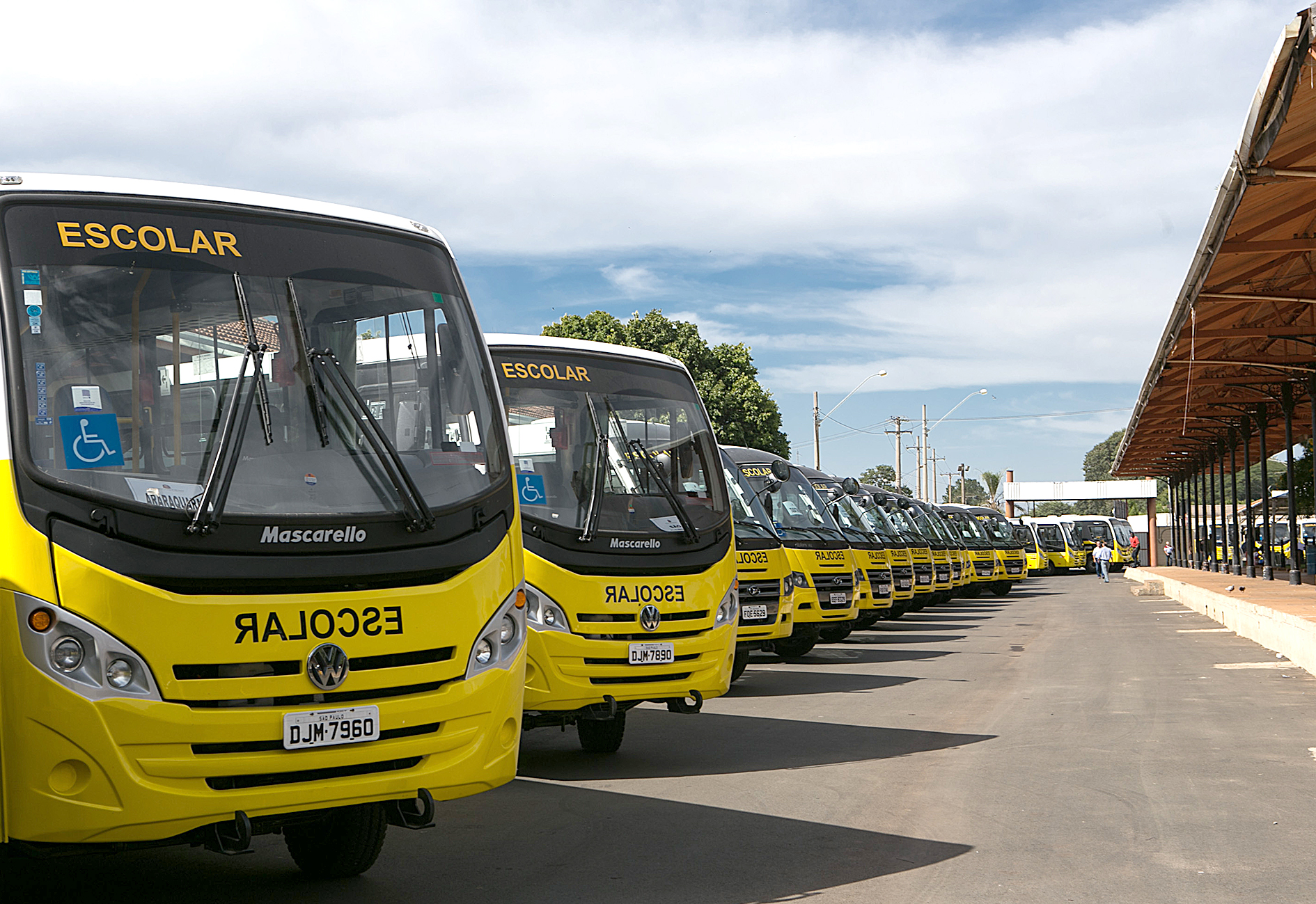Imagens de ônibus escolares que podem ser dirigidos após a conclusão do curso de Transporte Escolar.